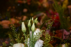 20140708-000300_Schuetzenfest_683x1025