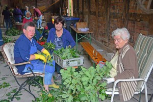 Schützenfest 2016-Vorbereitungen