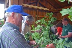 schuetzenfest-2016-vorbereitungen-15