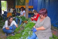 schuetzenfest-2016-vorbereitungen-30