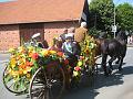 IMG_8607