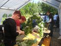 IMG_4798