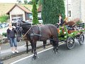 DSCF4087