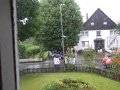 DSCF4147