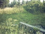 200308_GartenAlt4_480.JPG