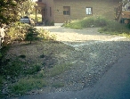 200308_GartenAlt7_480.JPG