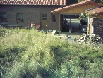 200308_GartenAlt9_480.JPG